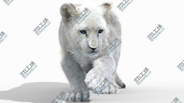 images/goods_img/20210312/3D White Baby Lion Rigged, Fur model/3.jpg